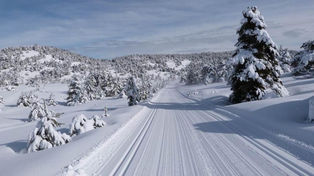 Les Neiges * Greolieres
